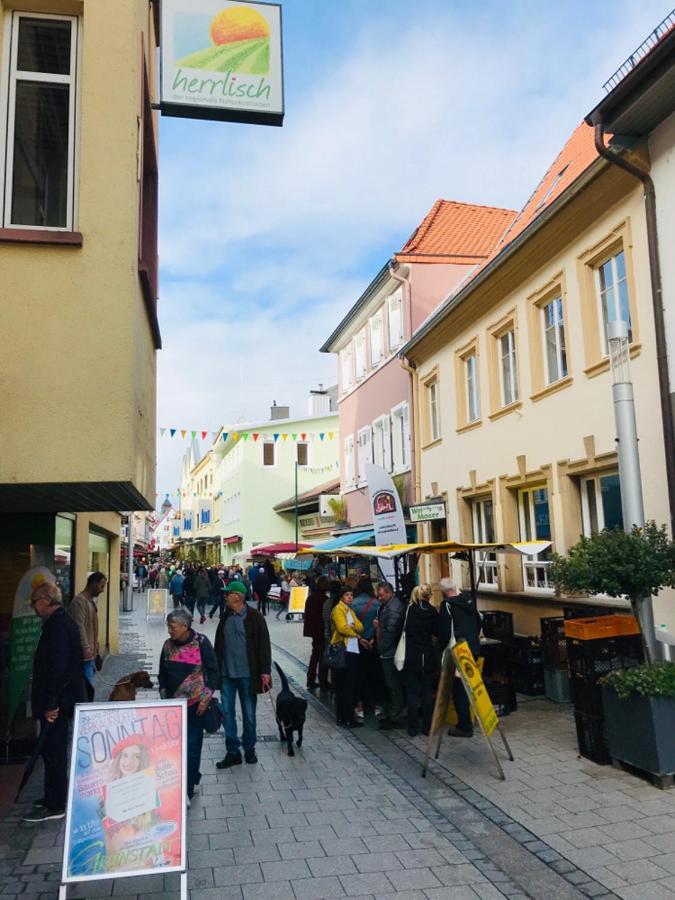 Boutique-Ferienwohnung Im Alten Weinhaus Moser Grünstadt Dış mekan fotoğraf